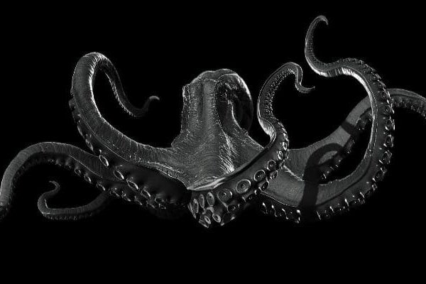 Kraken13at