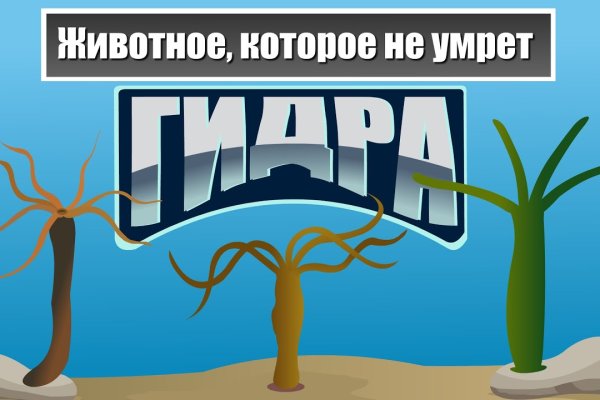 Кракен даркнет маркет плейс