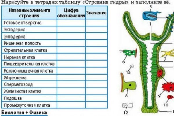 Кракен вход официальный сайт